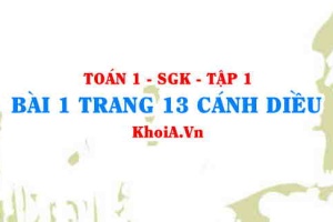 Bài 1 trang 13 Toán 12 tập 1 Cánh Diều